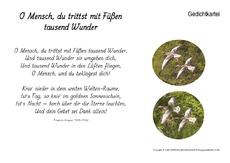 O-Mensch-Kempner.pdf